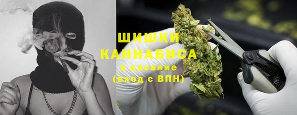 альфа пвп Нязепетровск