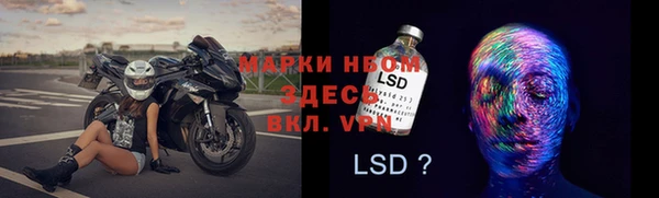 ALPHA PVP Остров