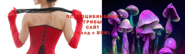 кокс Нягань