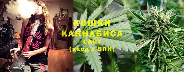 альфа пвп Нязепетровск