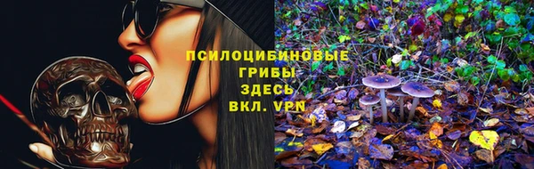 кокс Нягань