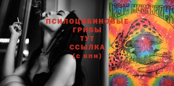 альфа пвп Няндома